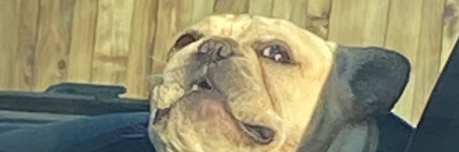 kailssss__'s profile banner image