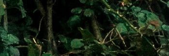 saliesousa's profile banner image