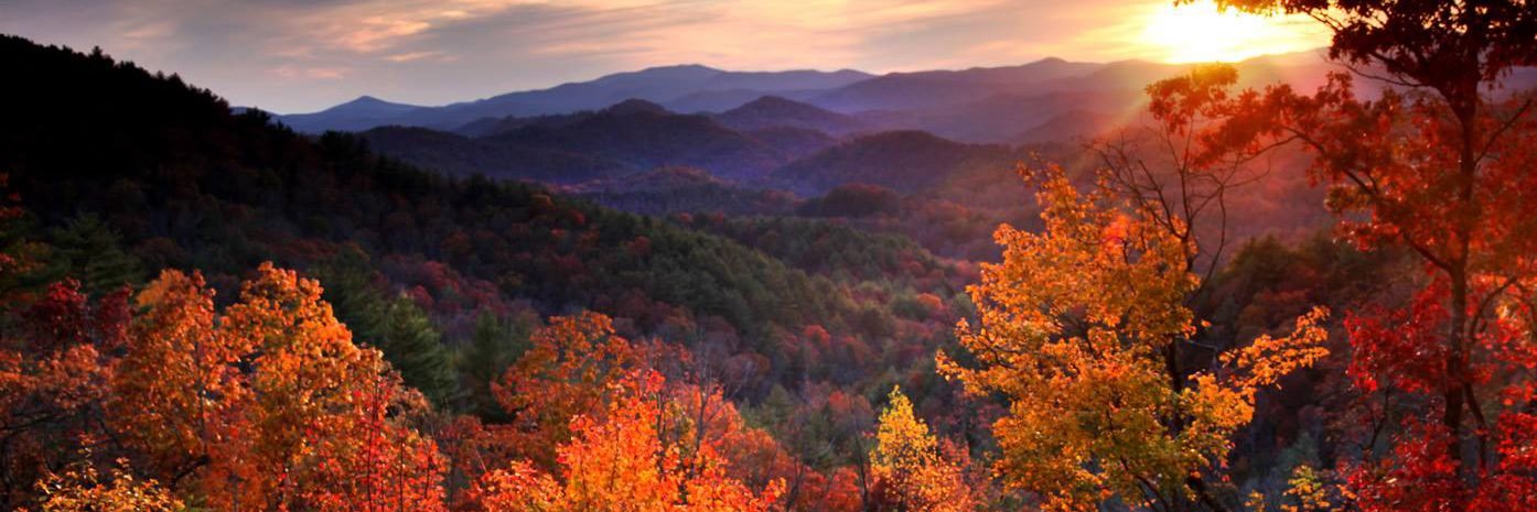 michael_bruchey's profile banner image