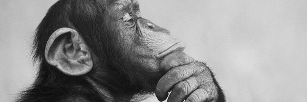 menobass Profile Banner