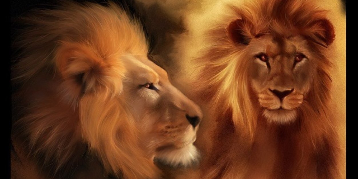 mnzdncr's profile banner image