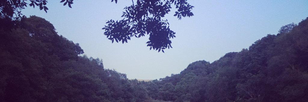 RachelENewsome's profile banner image