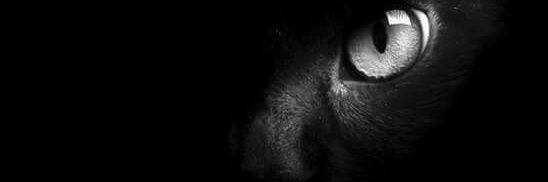 BiardeauElena's profile banner image