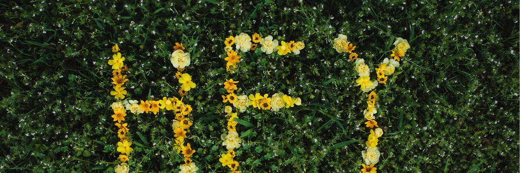 4youNL's profile banner image