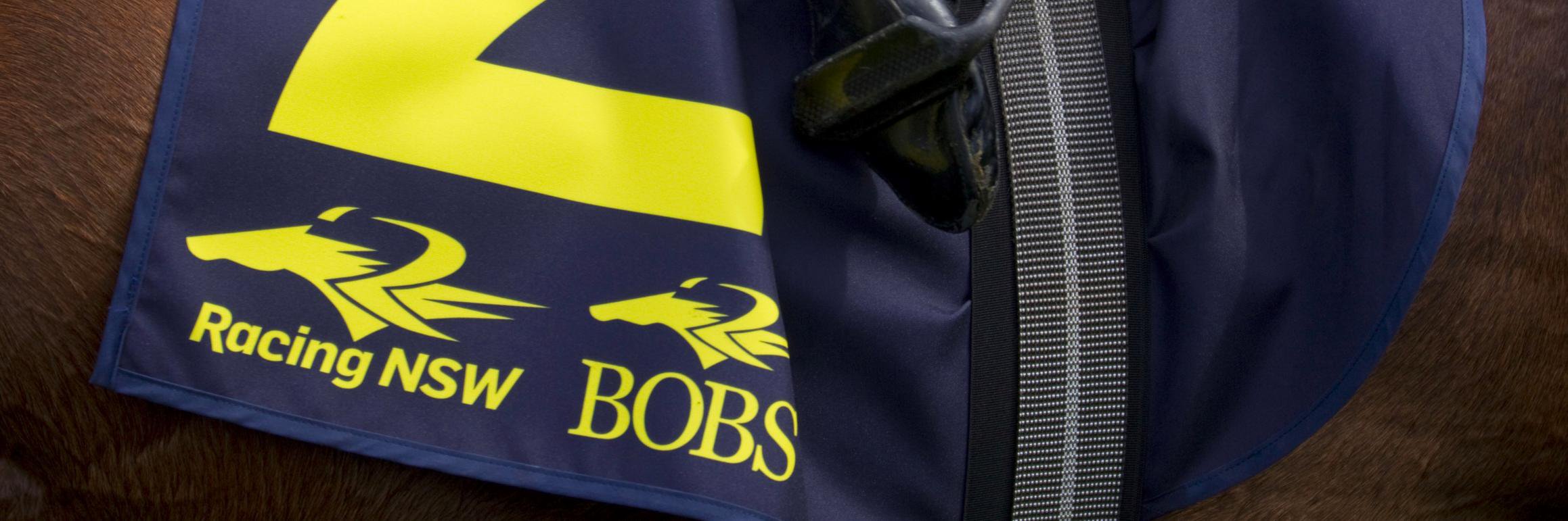 BOBS NSW banner