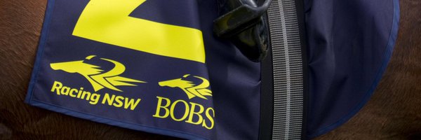 BobsNsw Profile Banner