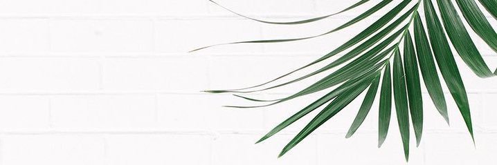 h0lly__'s profile banner image