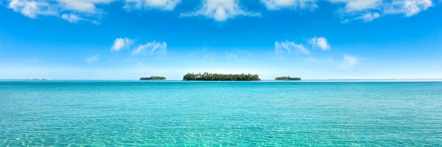 Joe Petraglia banner