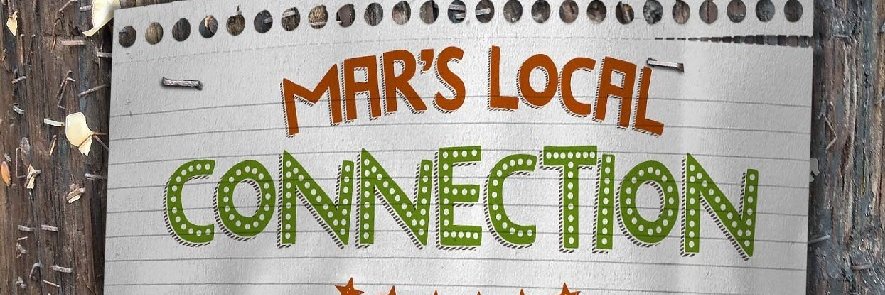 Martha Walsh banner