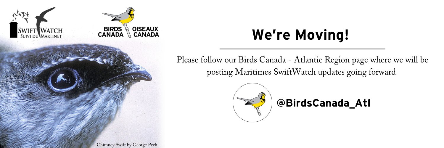 Mar_Swifts's profile banner image