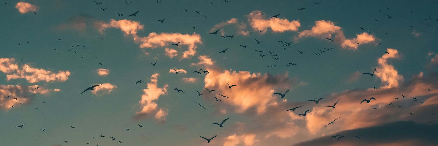 valentinperez97's profile banner image