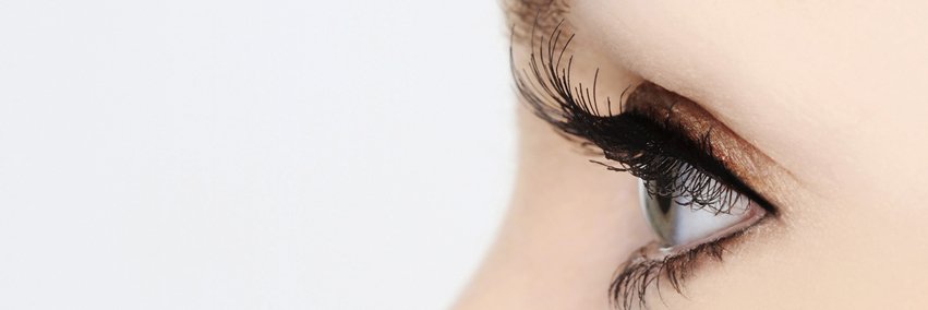 AllySemmel's profile banner image