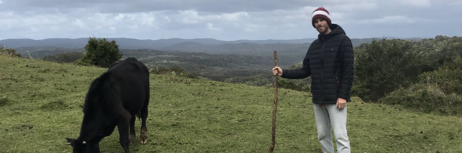 PuaMiguel's profile banner image