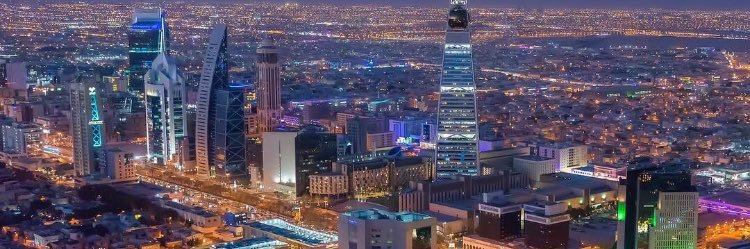 دايم السيف banner