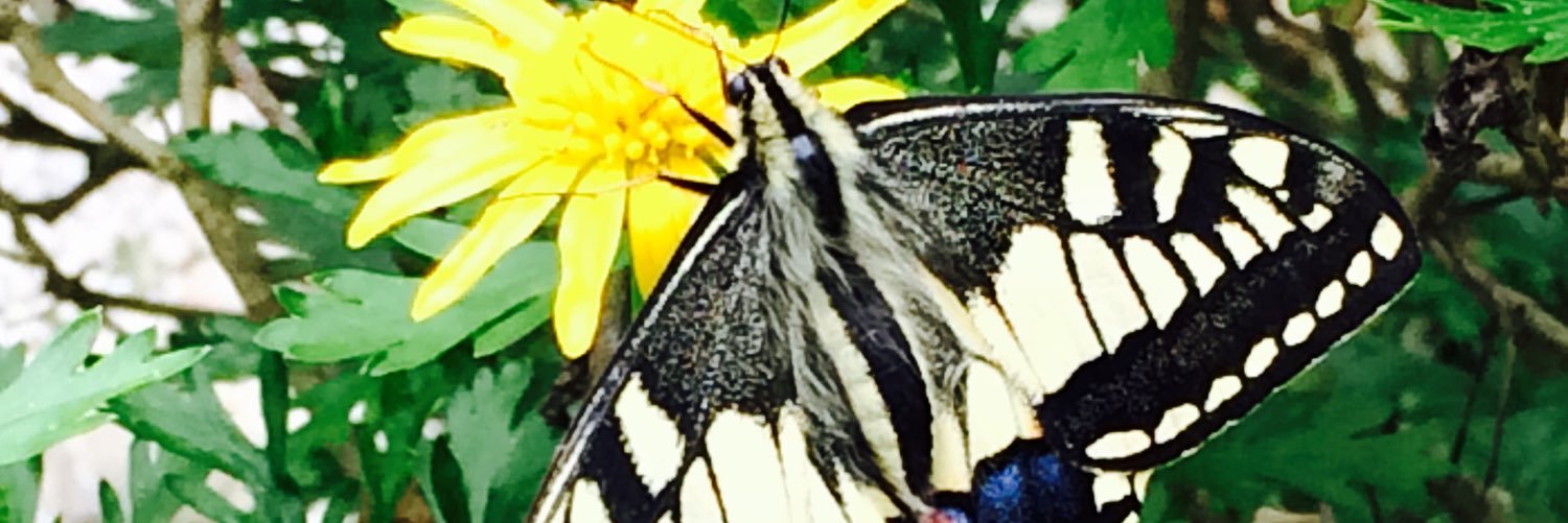 heewir's profile banner image