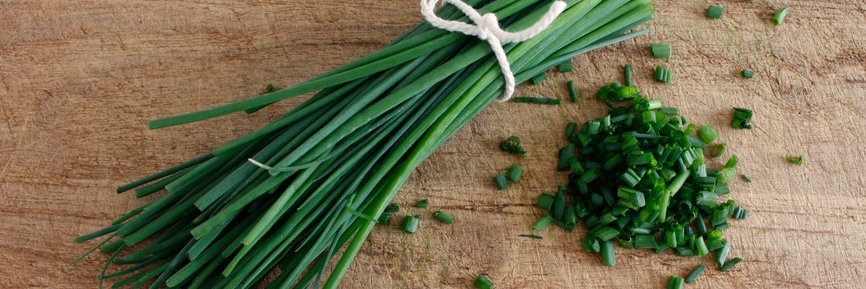 Chives banner
