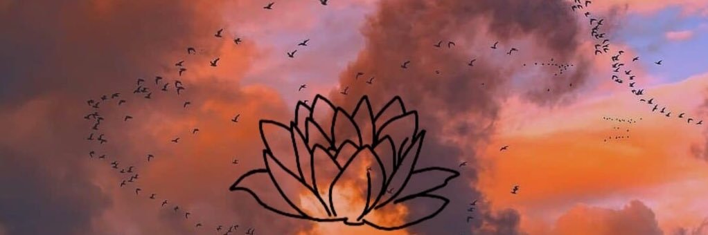 miss_mou's profile banner image
