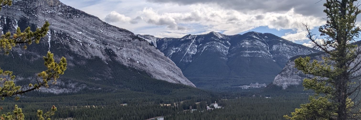 Middle Years Council banner