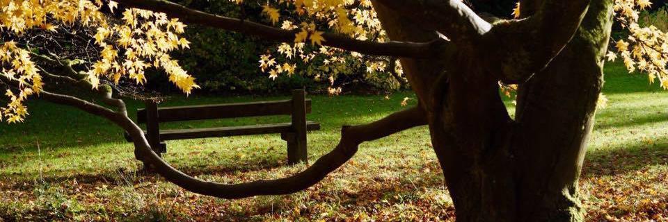 Gibbons_G's profile banner image