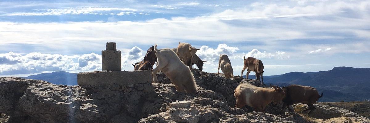 davgondev's profile banner image