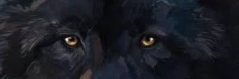 ElDoc2025's profile banner image