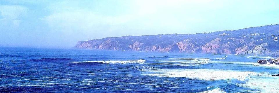 Norberto Notari banner