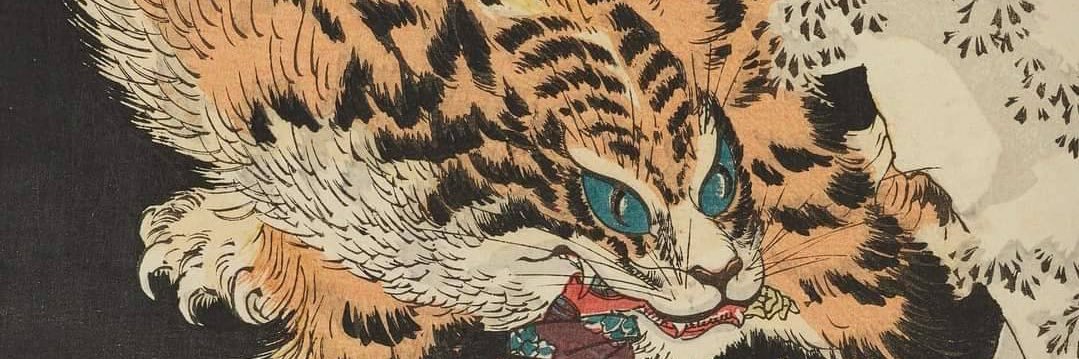 Tigre Silencioso banner