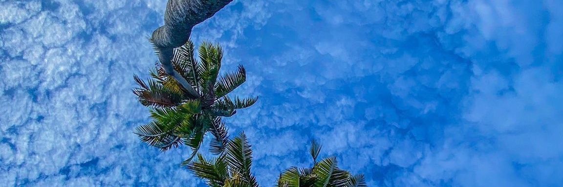 Drayco___'s profile banner image