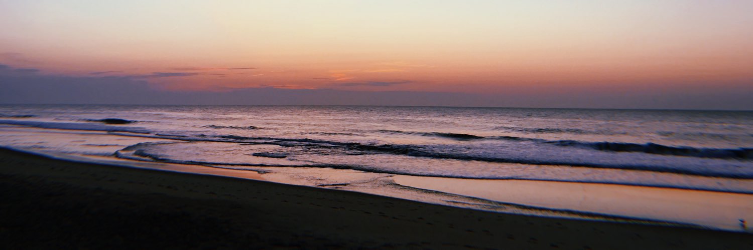 Megan_Wilbur's profile banner image