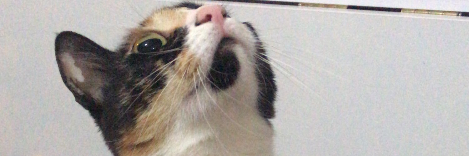 jasmincexx's profile banner image
