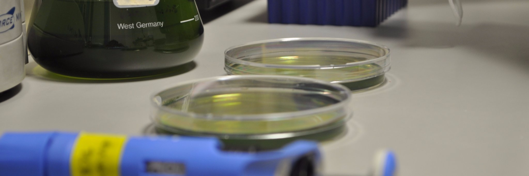 CibisBiotech's profile banner image