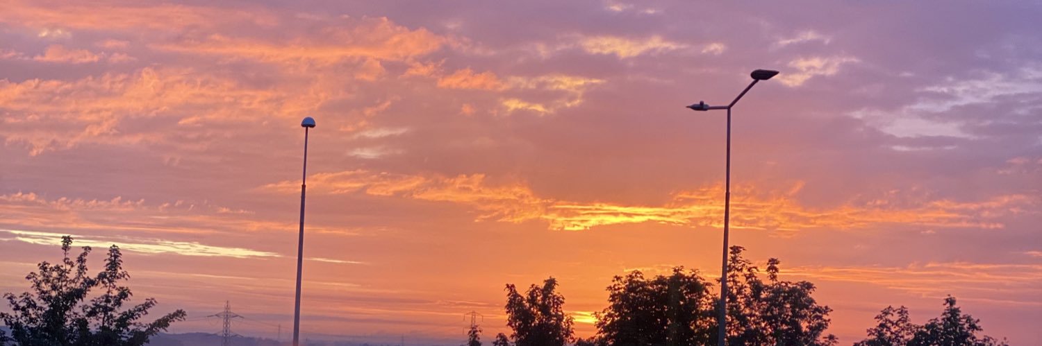 courtsann97's profile banner image
