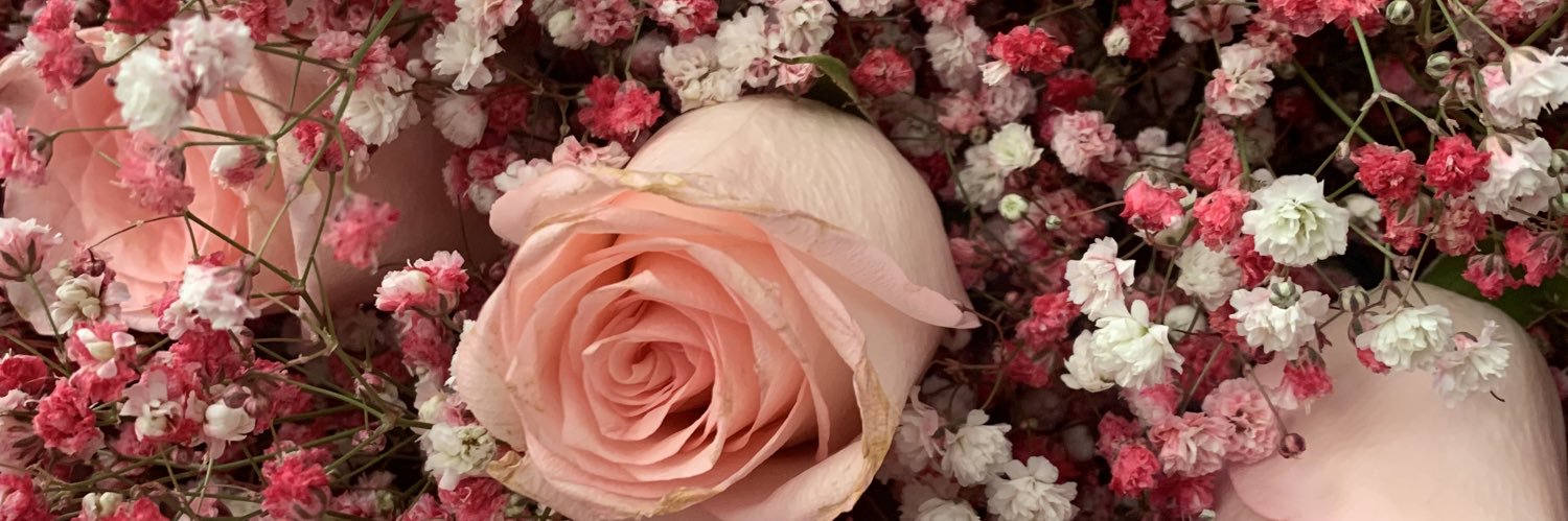 Hayoona4's profile banner image