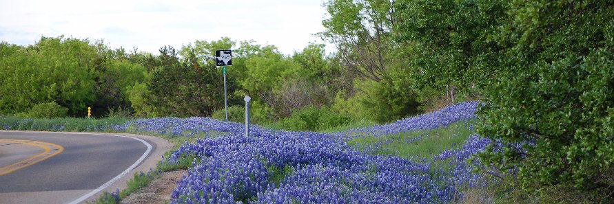 Carol Brouwer banner