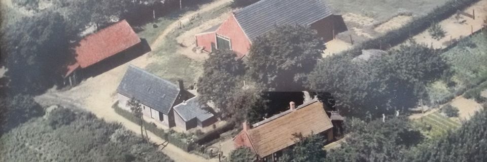LiaBalemans's profile banner image