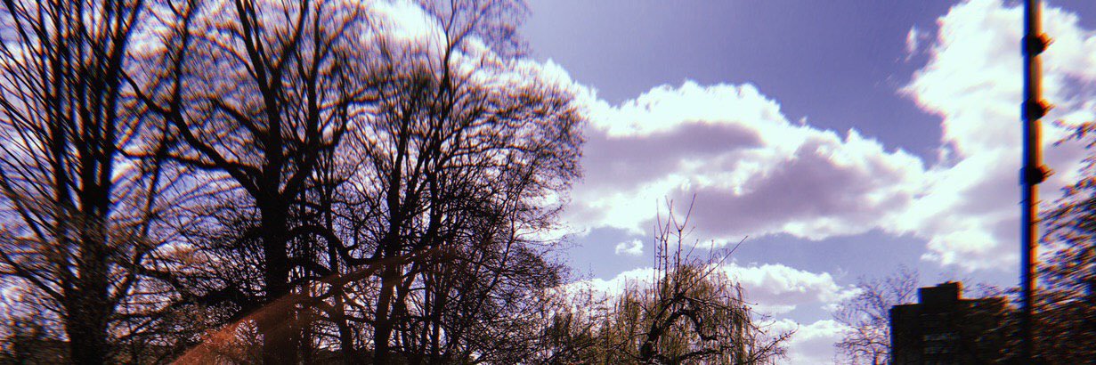 nik_sander_'s profile banner image
