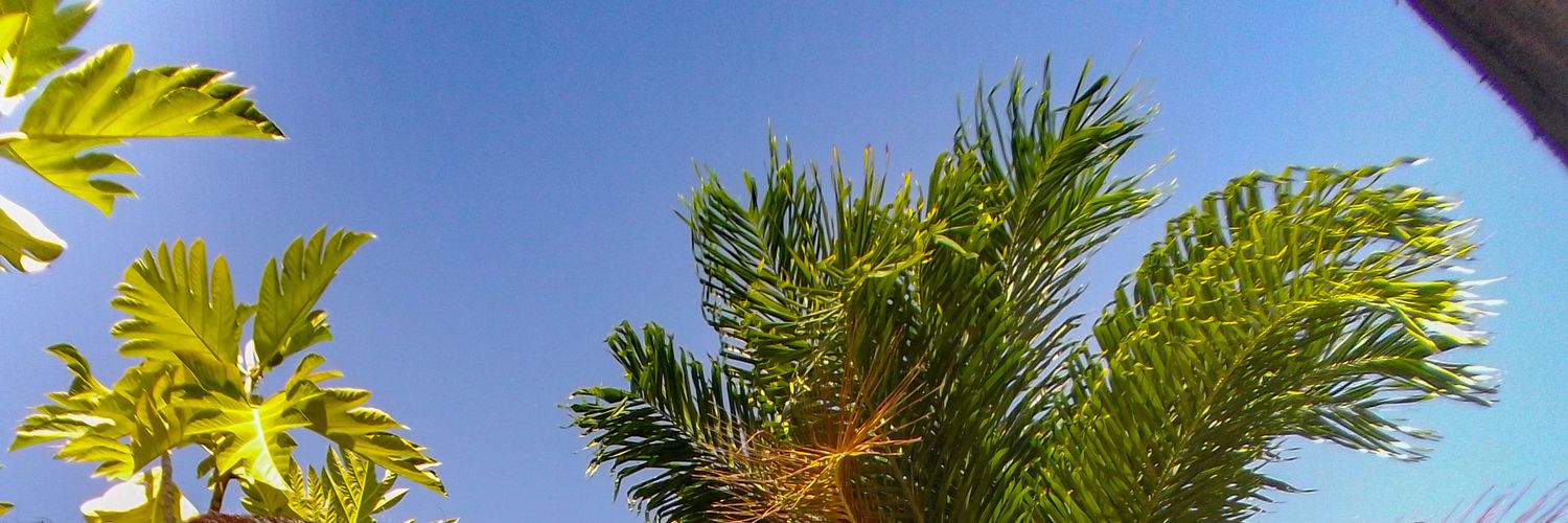 Tiitiane's profile banner image