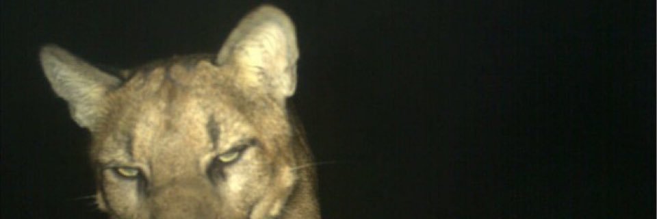 phuoct_'s profile banner image