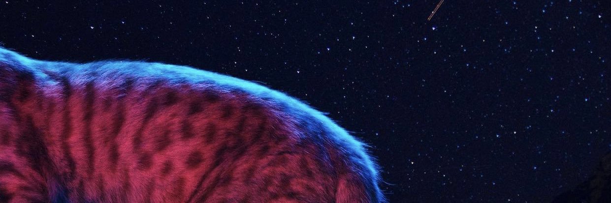cassapides's profile banner image