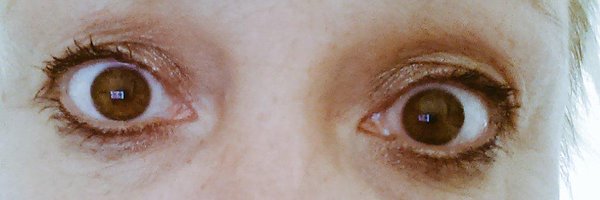 KThijsebaard Profile Banner