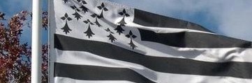yerwanp's profile banner image