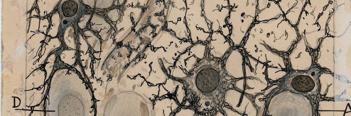 Einesmv's profile banner image