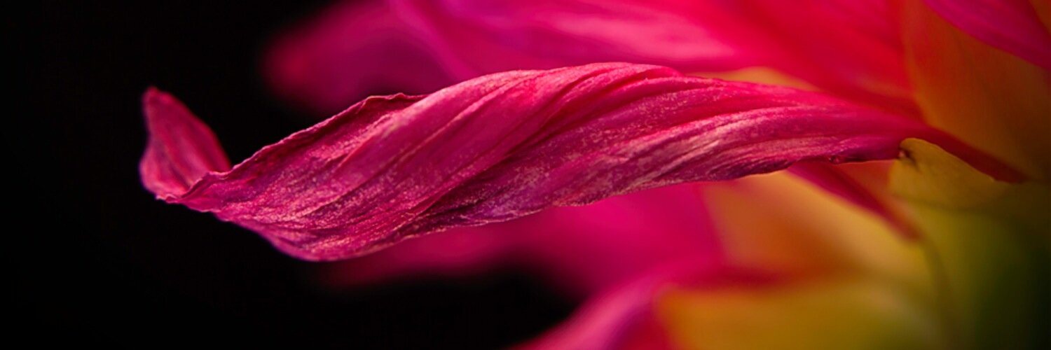 Jazzerkb's profile banner image