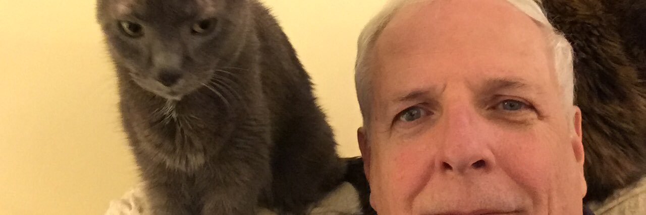 talkingcat's profile banner image