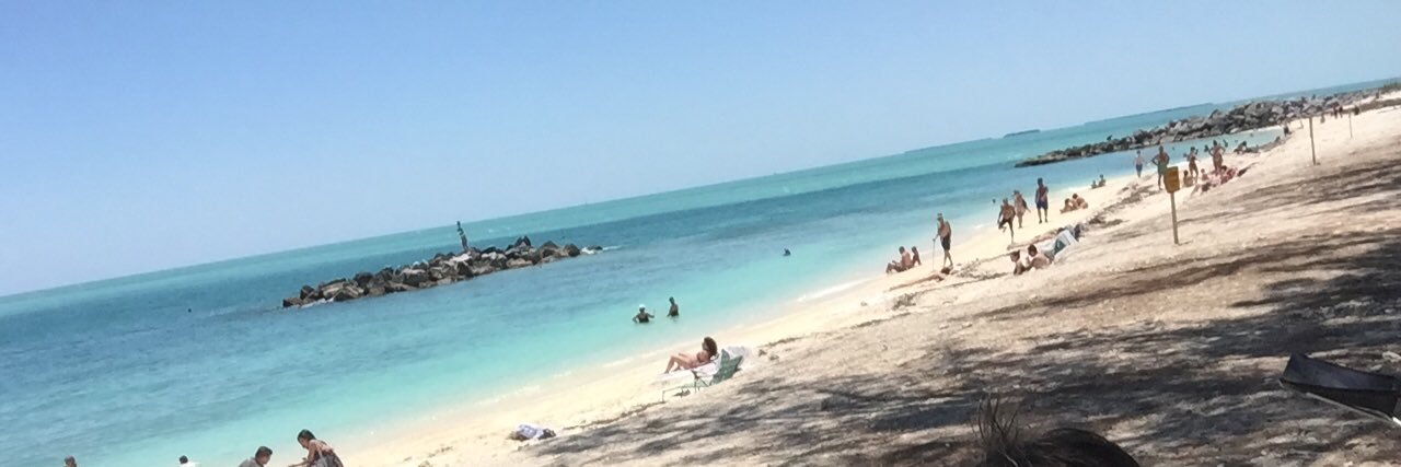 renata pellegrino banner