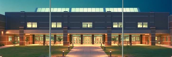 Buffalo Bison banner