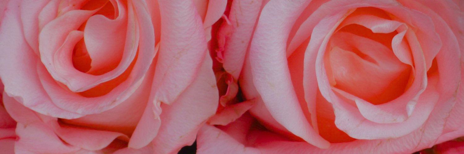 Nadejaaaa's profile banner image