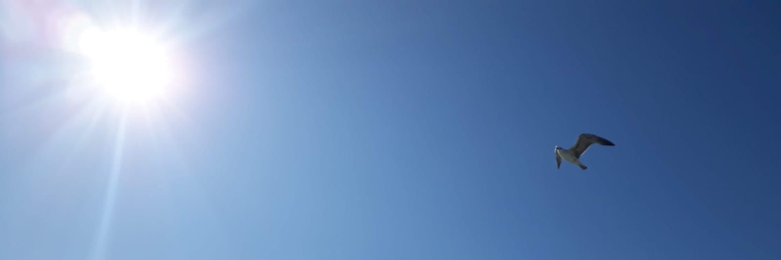 orhanelgit's profile banner image