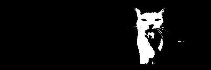 LunnaCornio's profile banner image