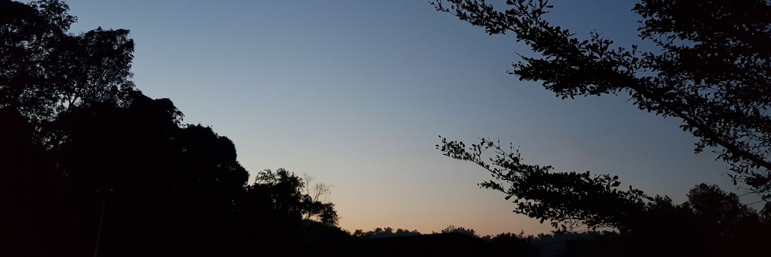 𝓒𝓪𝓻𝓵 𝓥. 𝓜𝓸𝓸𝓼𝓸𝓶 banner